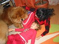 20110101_Div 058